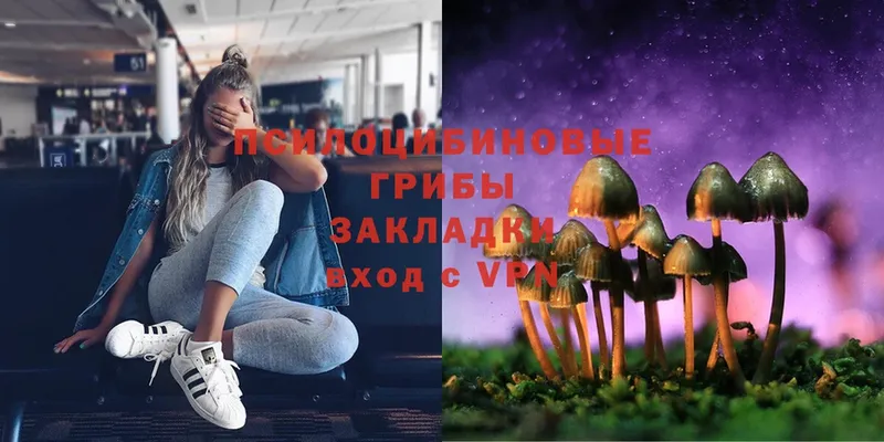 Галлюциногенные грибы Psilocybe  площадка состав  Первоуральск  что такое наркотик 